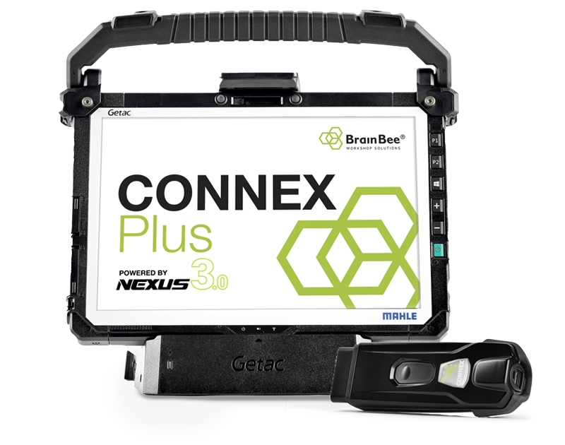 Connex PLUS Brain Bee